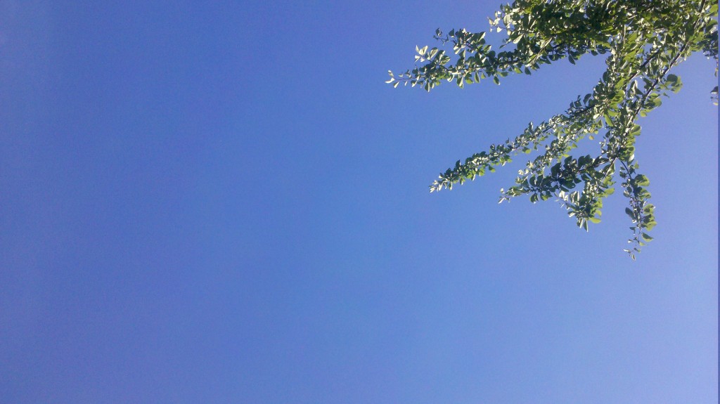 Clear skies Clear skies